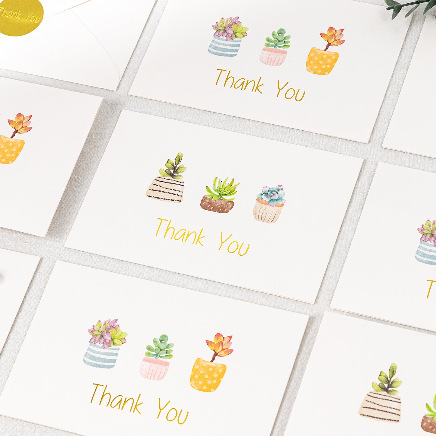 Crisky 4x6 Succulent 2 Assorted Thank You Cards with Envelopes (50 Pack) & Stickers Greeting Notes Bulk, greenery plants for Birthday, Baby Shower,Bridal Shower, Wedding, Graduation
