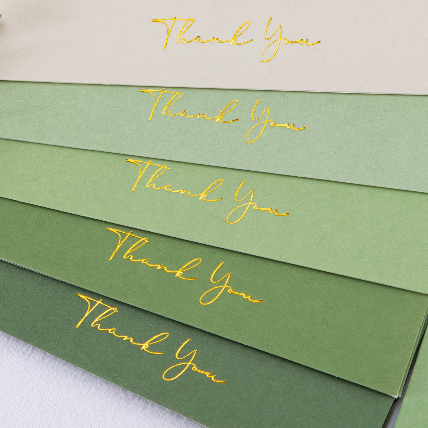 Crisky Shade of Sage Green Thank You Cards (50 Pack) with Craft Envelopes & Stickers Greeting Cards Bulk for Birthday, Baby Shower,Bridal Shower, Wedding, Graduation.