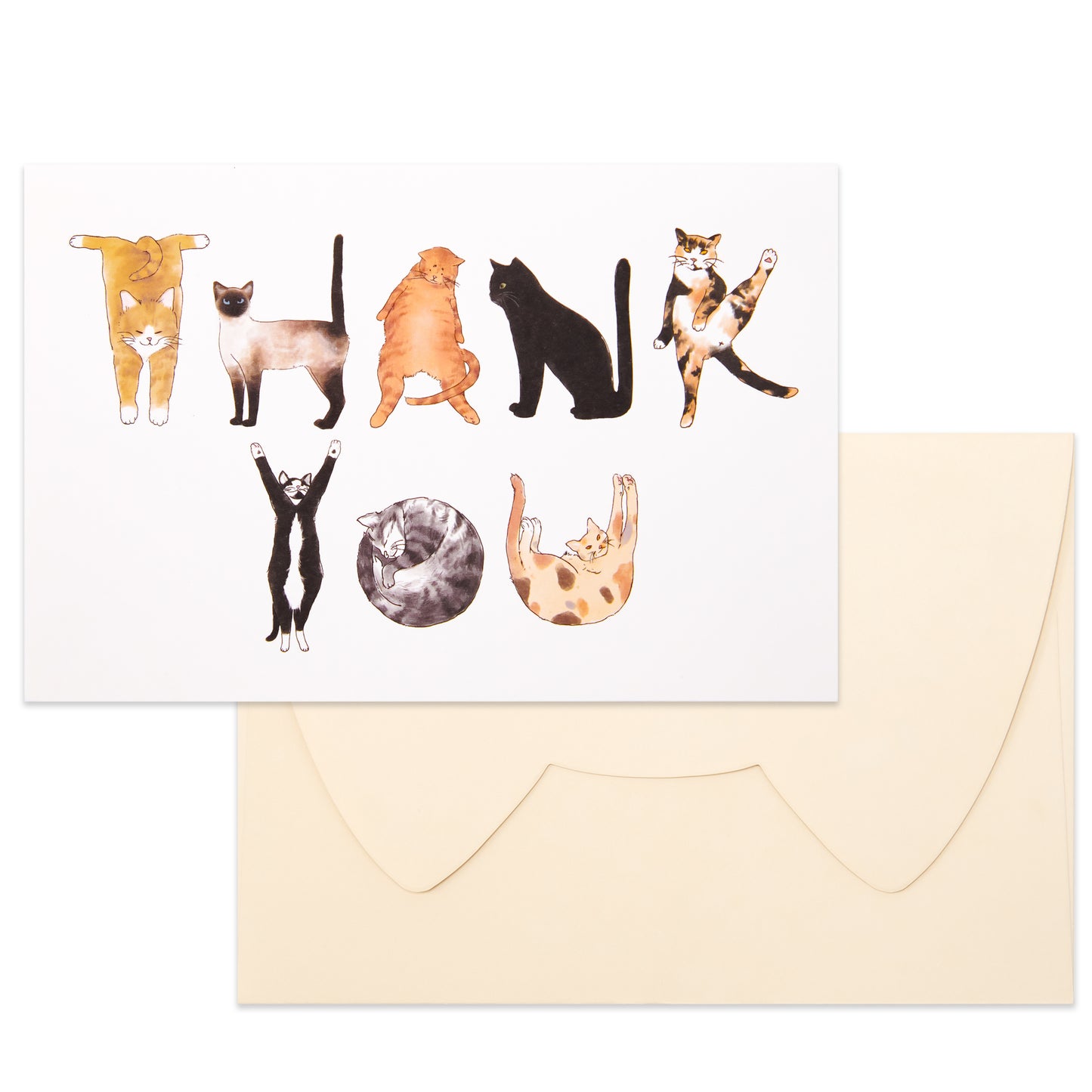 Crisky 25PCS Funny Cat Thank You Cards Cut Adorable Alphabet Kitty Cats Notes Bulk with Envelopes and Stickers for Him or Her Suit All Occasion