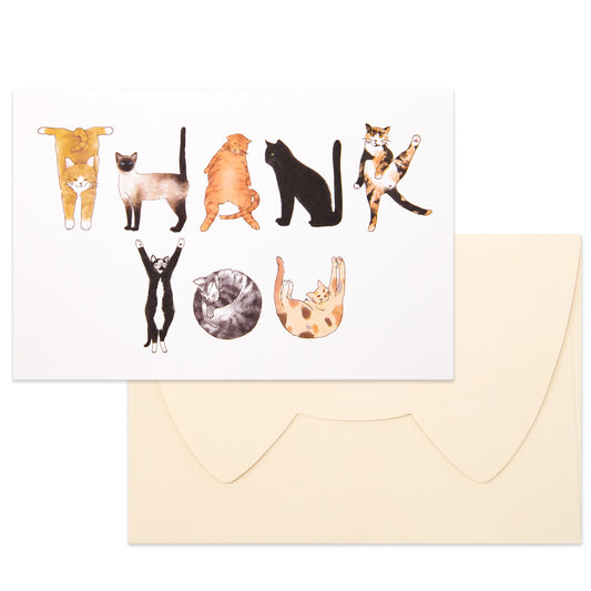 Crisky 25PCS Funny Cat Thank You Cards Cut Adorable Alphabet Kitty Cats Notes Bulk with Envelopes and Stickers for Him or Her Suit All Occasion